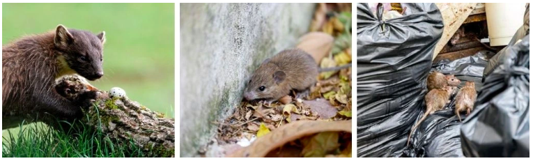 Snímka obrazovky 2025-07-08 o 14.52.43